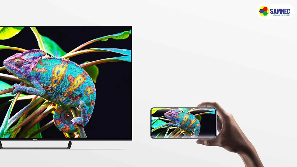 Xiaomi Google Tivi 4K 65 inch L65M8-A2SEA- Tiện ích